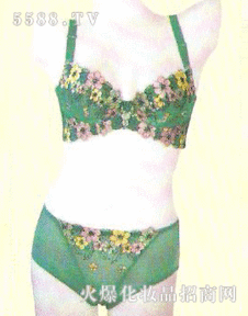 皇家玉人內衣產品02 皇家玉人內衣廠家