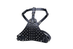 帶狼牙釘寵物胸背 義烏眾美寵物用品廠的創新設計與市場前景